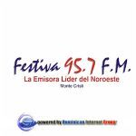 Festiva 95.7 FM